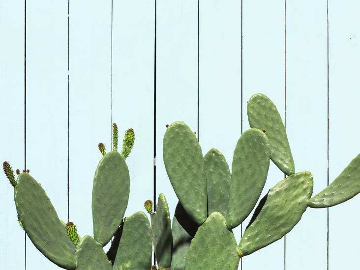 nopales cactus