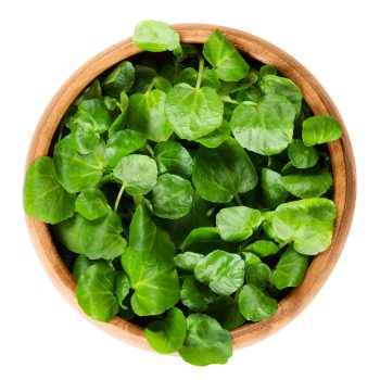 Dandelion Green Alternatives for Watercress