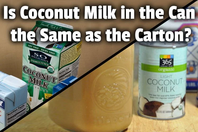 Can You Use Carton Coconut Milk Instead Of Canned?