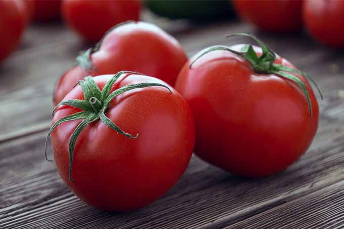 Fresh tomatoes