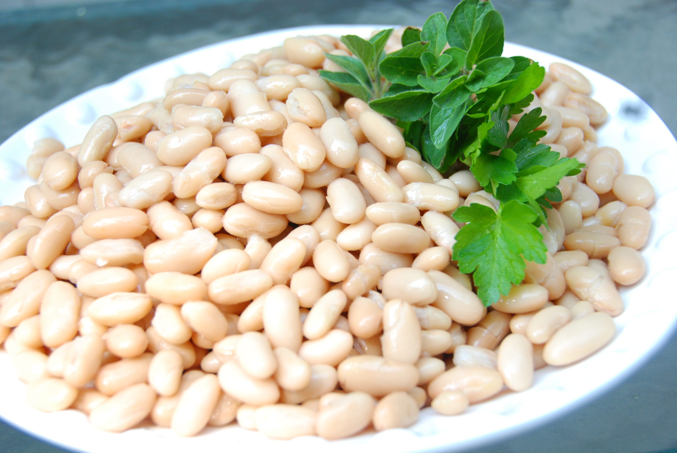 10 Substitutes for Cannellini Beans