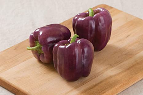 Purple chime peppers