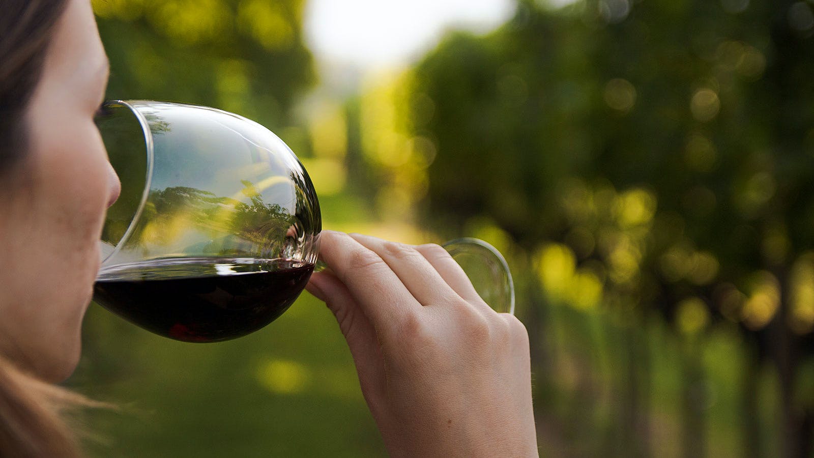 How to Drink Wine: 7 Ways To Enjoy It Like An Expert!