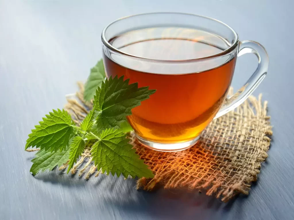 Peppermint Tea Is Beneficial When You Have A Full Stomach