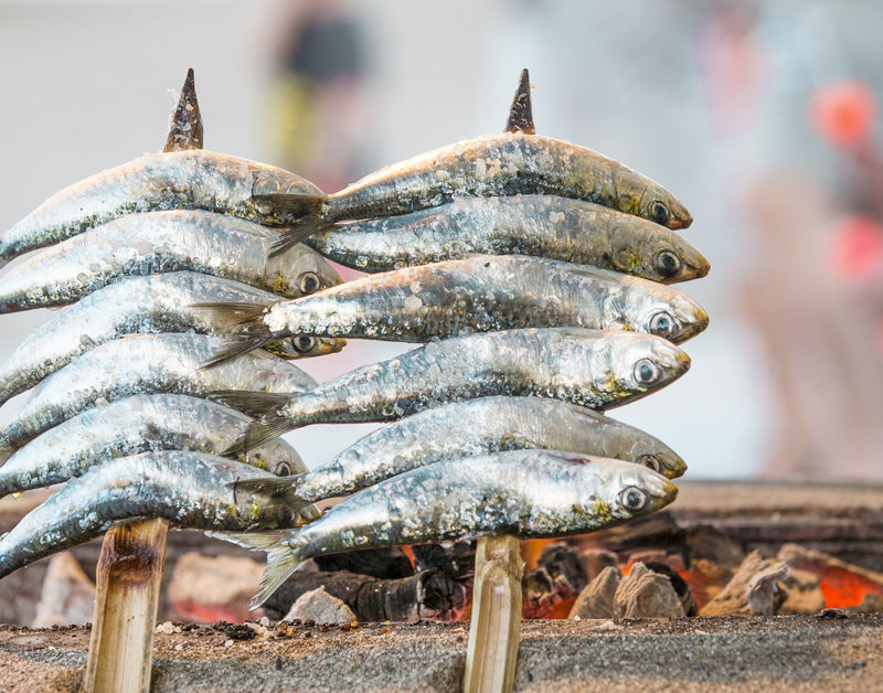 Anchovies vs. Sardines Taste 