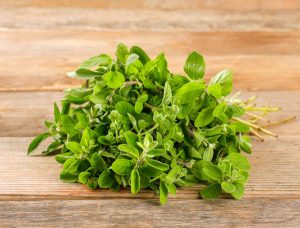 Marjoram (dried, for Mexican style recipes)