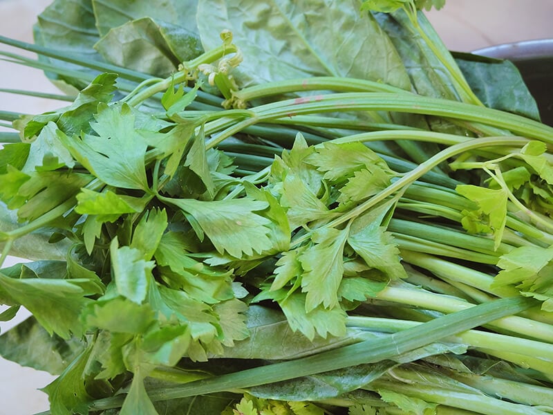 Celery leaves