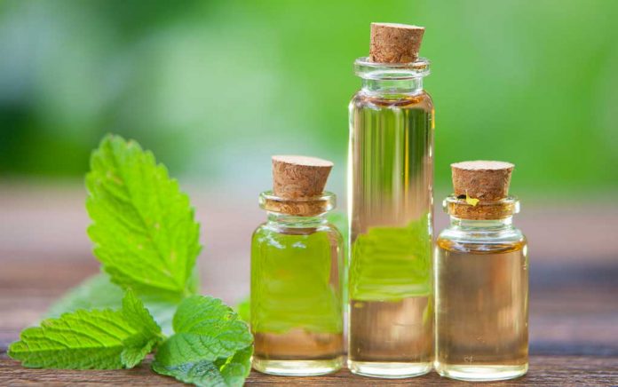 Substitutes for peppermint oil