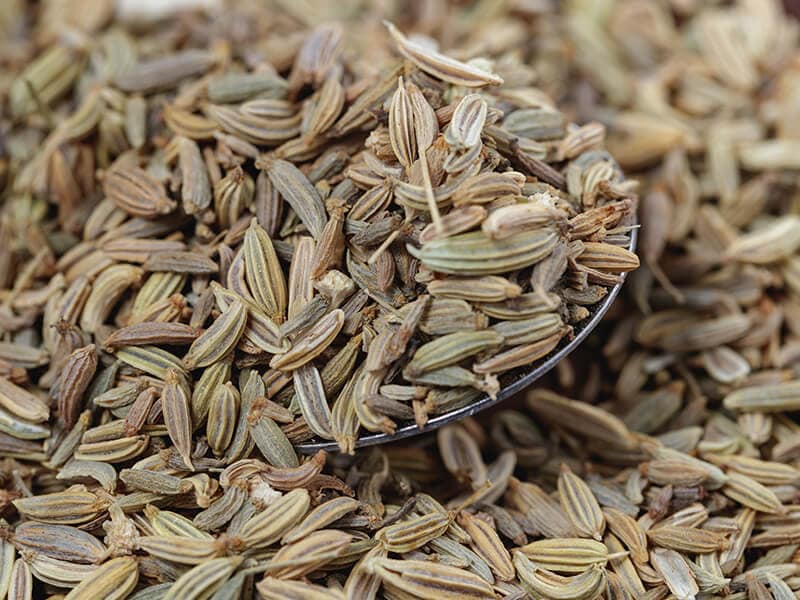 Fennel seeds