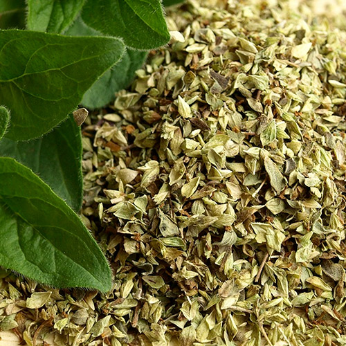 Oregano