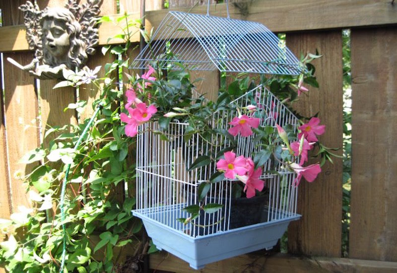 An antique birdcage