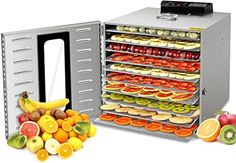 Kinds of food dehydrators