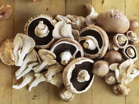 Is it possible to use fresh mushrooms instead of dried mushrooms?