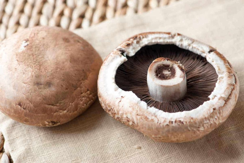 Portabella Mushrooms