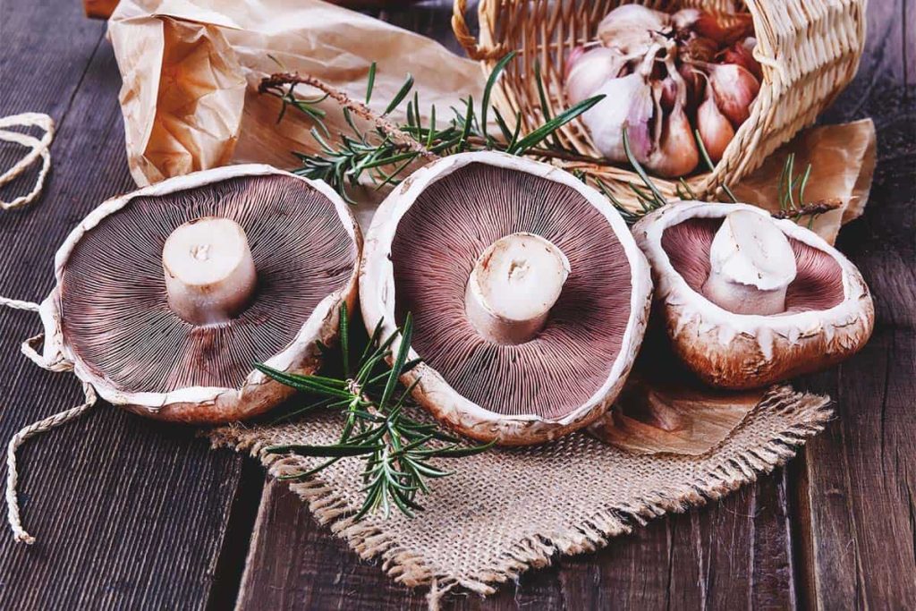 Portobello mushrooms