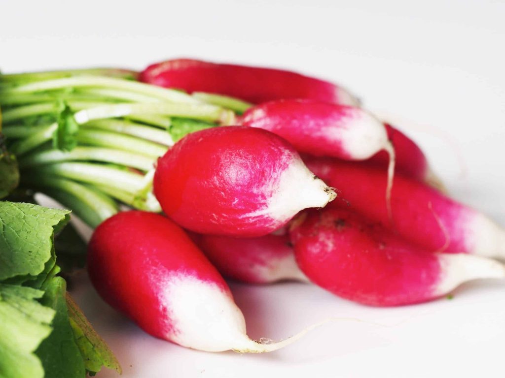 Radish Fledglings