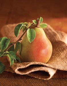 The most effective method to Defrost Pears For Smoothies