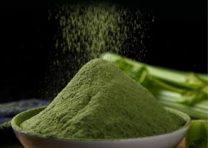 Celery powder 