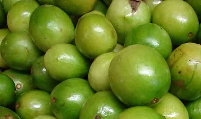 umbu fruit