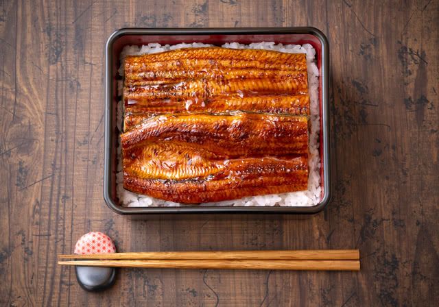 Unagi