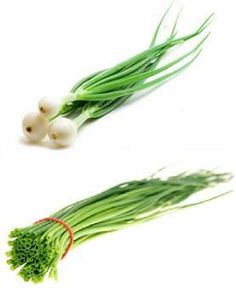 What is the difference between Chives and Green Onions? 