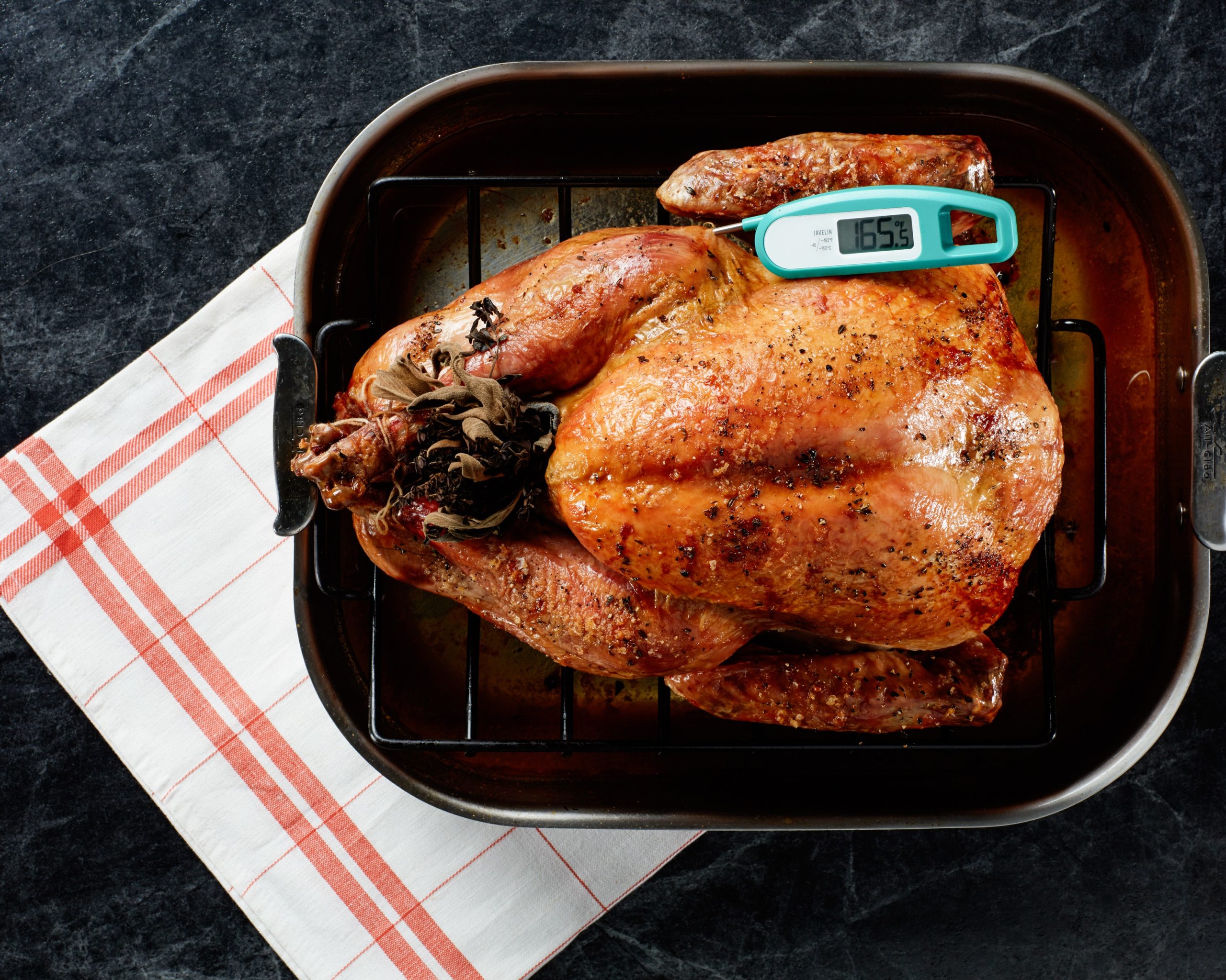 In the Oven, How Do You Use a Meat Thermometer?