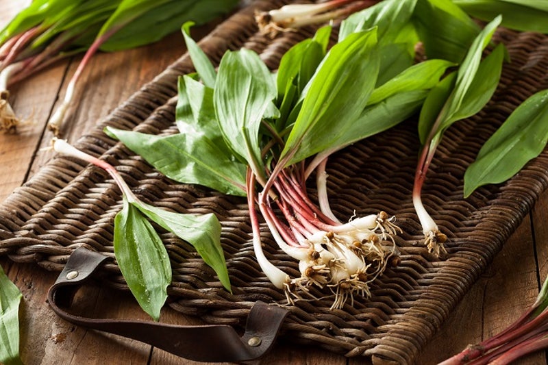 Leek substitutes Wild ramps