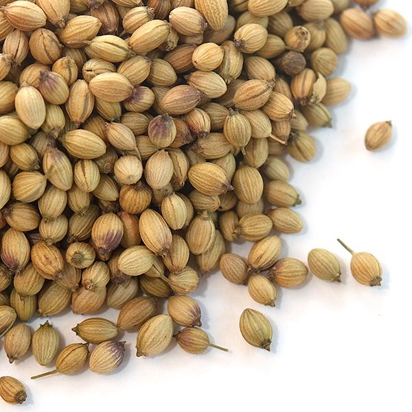 Coriander seeds