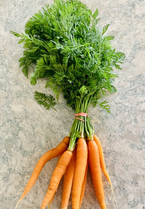 Carrot greens