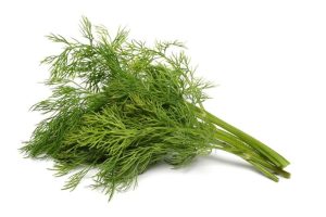 Dill