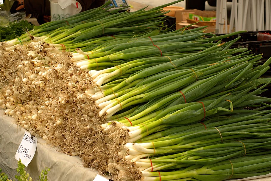 Scallions or green onions