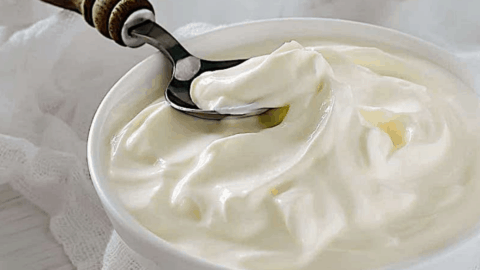 Greek yogurt substitutes