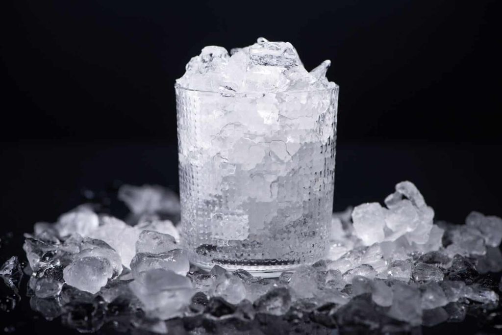 Can You Put Ice In A Food Processor?