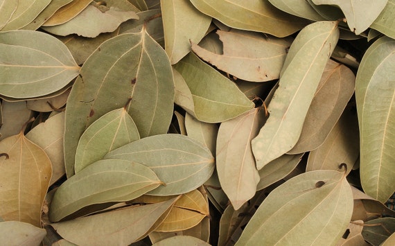 Is there a difference between bay and cinnamon leaf?