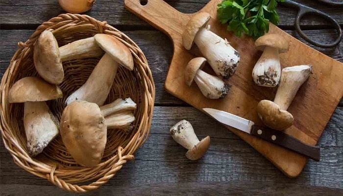 Alternatives to porcini mushrooms