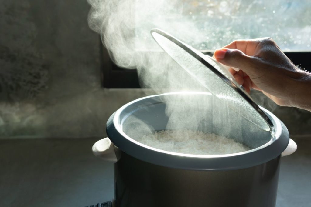 In a Rice Cooker, Can You Boil Water?