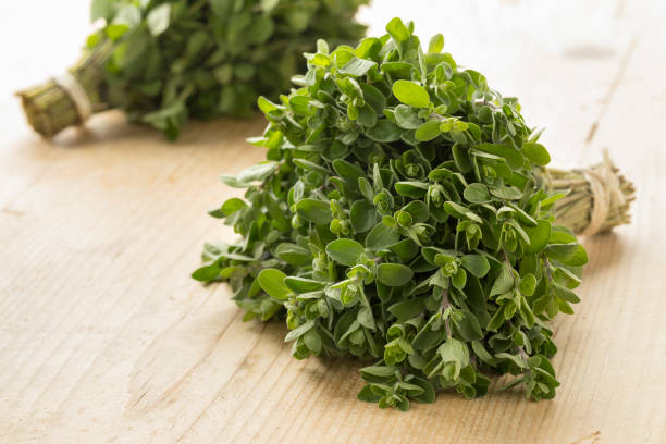 Marjoram