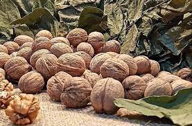 Turkey is also the world's fourth-largest walnut grower.