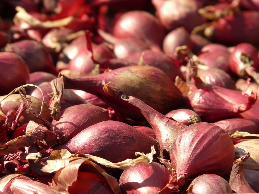 Shallots