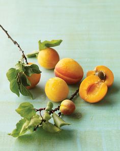 Apricot