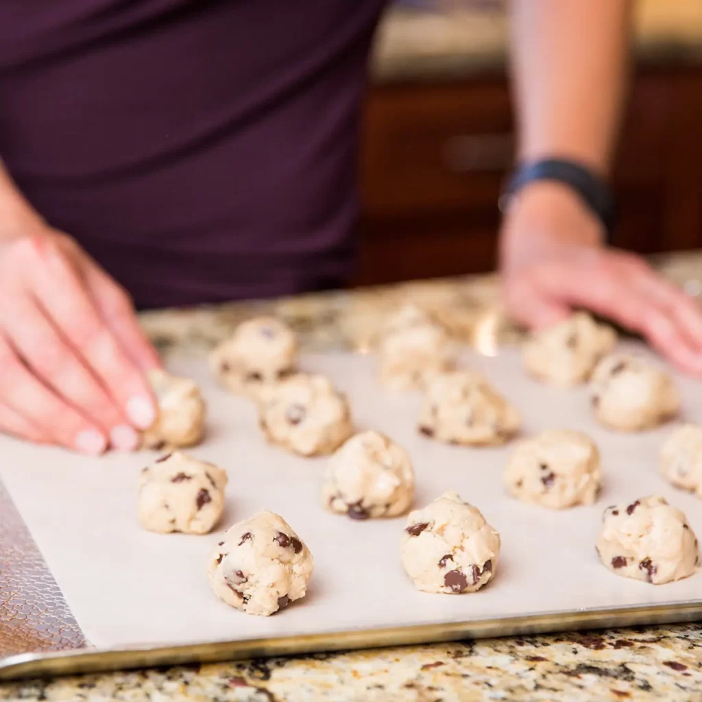 Best Dehydrator Sheets