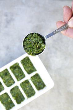 Can you Use Dried Cilantro Instead of Fresh in Salsa?