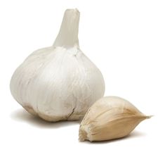 Garlic