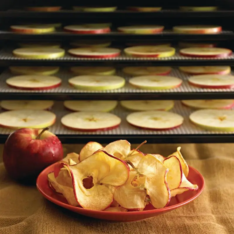 All You Need To Know About Dehydrator Sheets