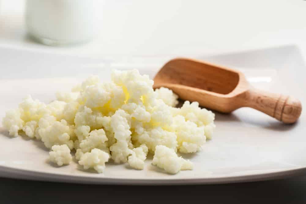 Freezing, Refrigeration, and Dehydration Instructions for Kefir Grains