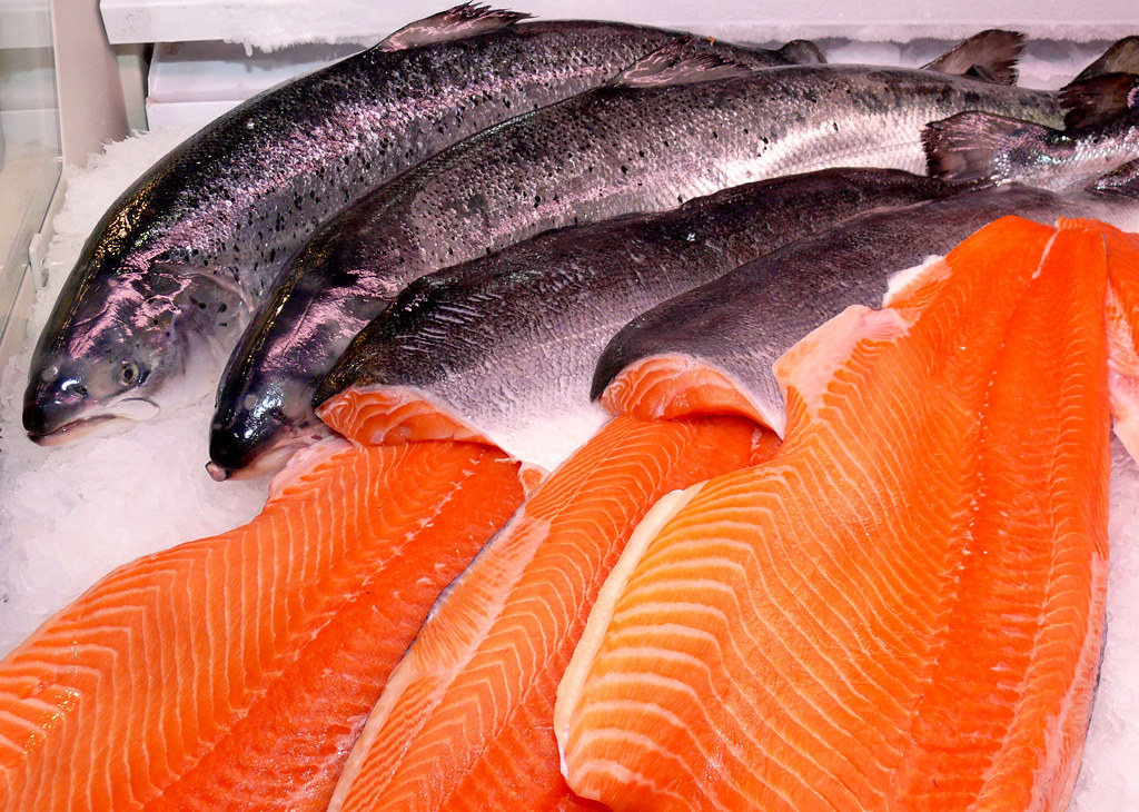 Atlantic salmon vs. Pacific Salmon - What's the difference?