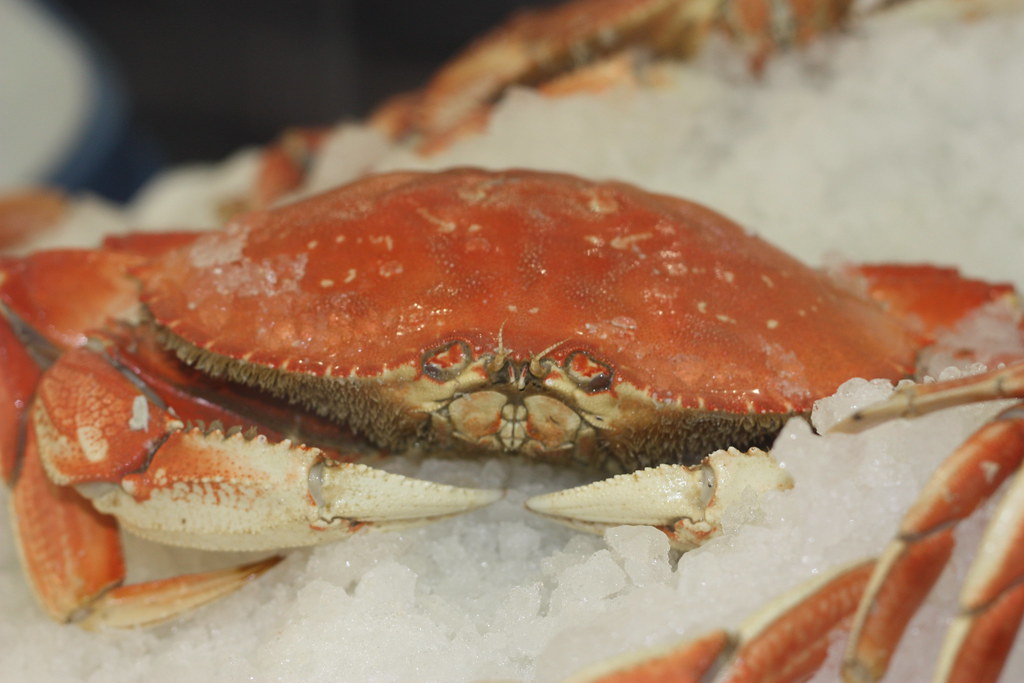 Can crab meat be frozen?