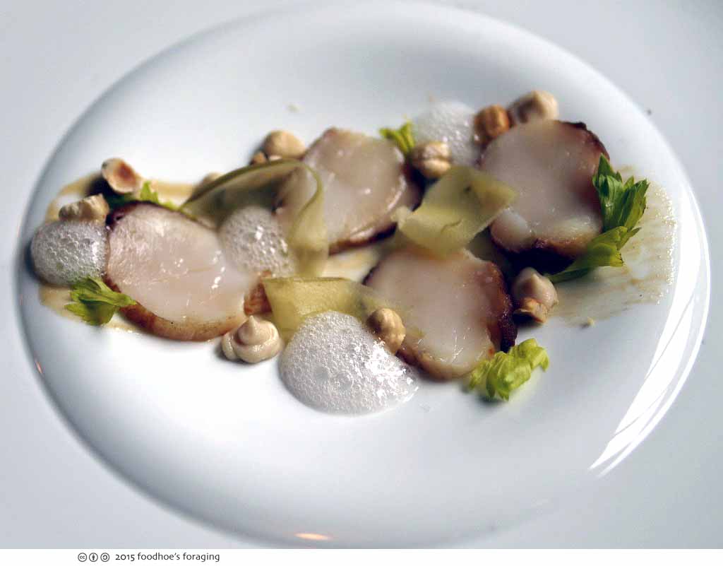 Can scallops be frozen? - Everything you need to know