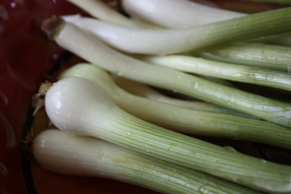 The difference between green onion and chives