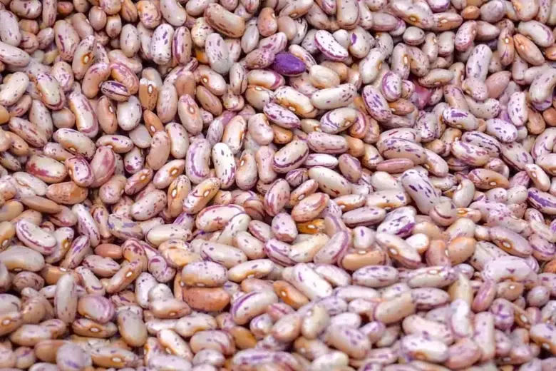 Black beans vs. Pinto Beans - What's the Difference?